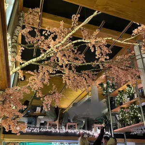 Bovengedeelte van het restaurant