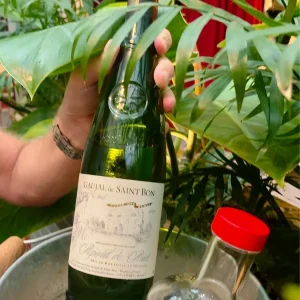 Een fles wijn Picpoul Pinet