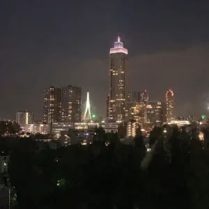 Uitzicht over Rotterdam vanaf de tuin van Renilde